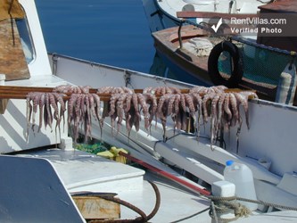 Image 30 of Photos of Paros Villa Rental in the Picturesque Village of Naoussa  - Villa Naoussa - RentVillas.com