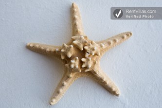 Image 88 of Photos of Luxury Villa Rental on Mykonos with Chef - Villa Mykonos - RentVillas.com