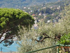 Photo 2 of Apartment Rental in Liguria, Rapallo