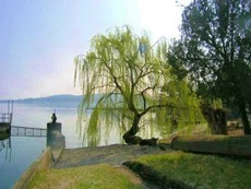 Photo 2 of Villa Rental in Lombardy, Stresa (Lake Maggiore)