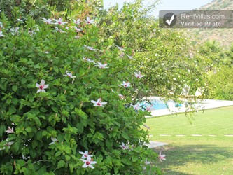 Image 36 of Photos of Greek Villa for Rent - Villa Argus - RentVillas.com
