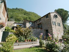 Photo of Accommodation near Lucca 