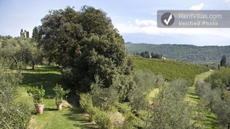 Image 35 of Photos of Charming Farmhouse Close to Florence and Walking Distance to Village - Ai Lecci - RentVillas.com