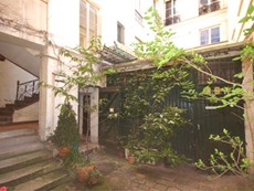 Photo of Jonquille