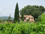 Photo of Maison Marcelle
