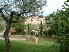 Photo of Villa with pool near Cortona