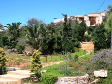 Photo of Greek Island Villa with Private Pool, Walk to the Beach