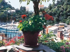 Photo of Villa Near Portofino Walking Distance to Town