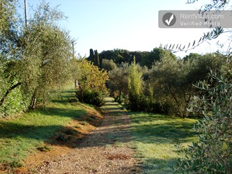 Image 75 of Photos of Tuscany Villa near Siena with Private Pool - Villa Del Cielo with Caminetto - RentVillas.com